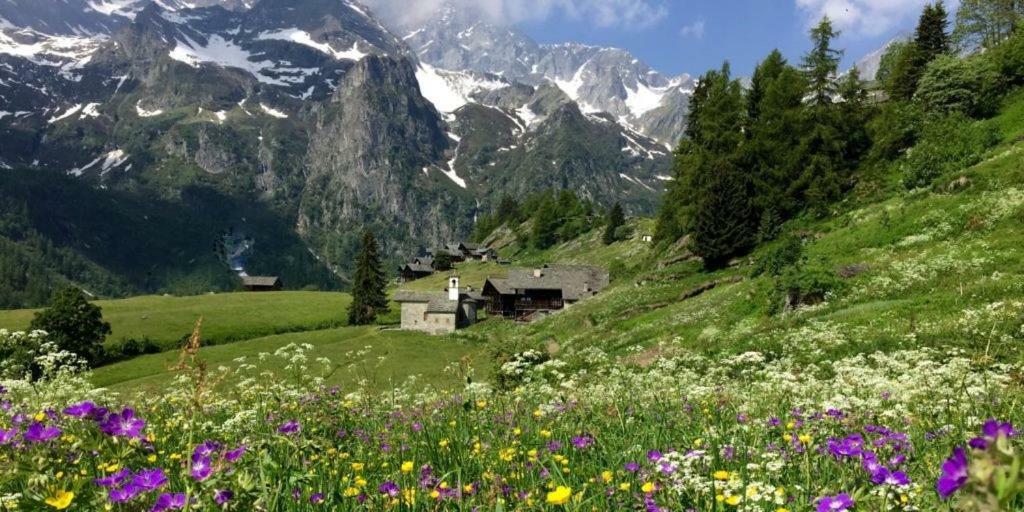Al Vicolo Del Gallo Varallo Buitenkant foto